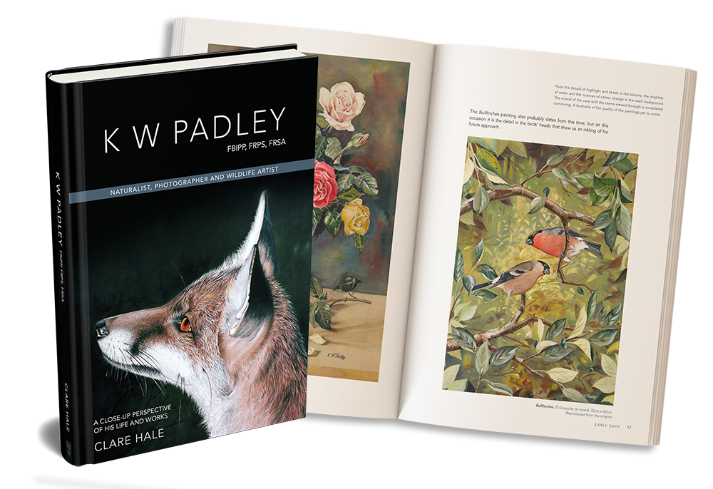 K W Padley Spread