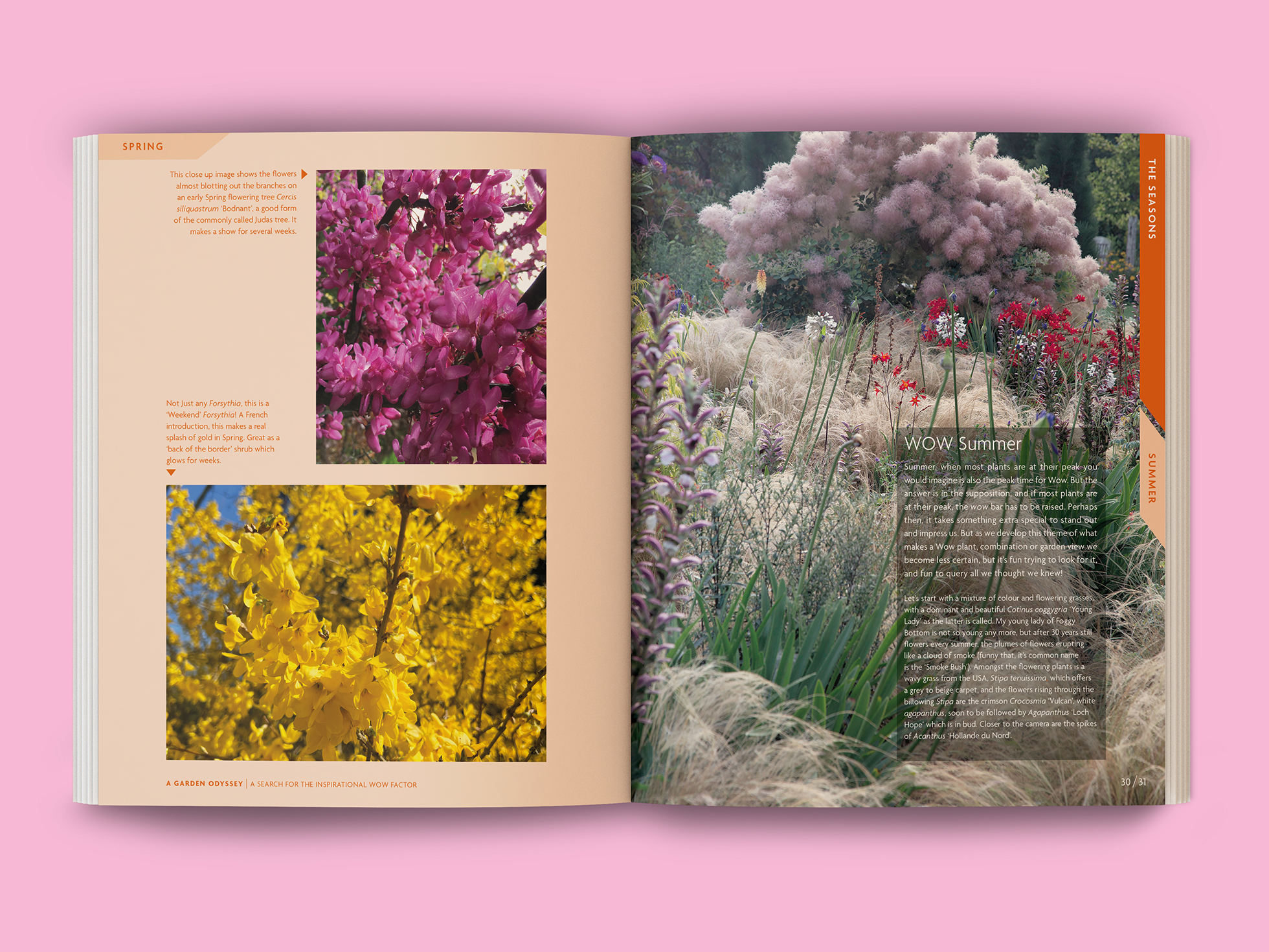 fb garden odyssey 03