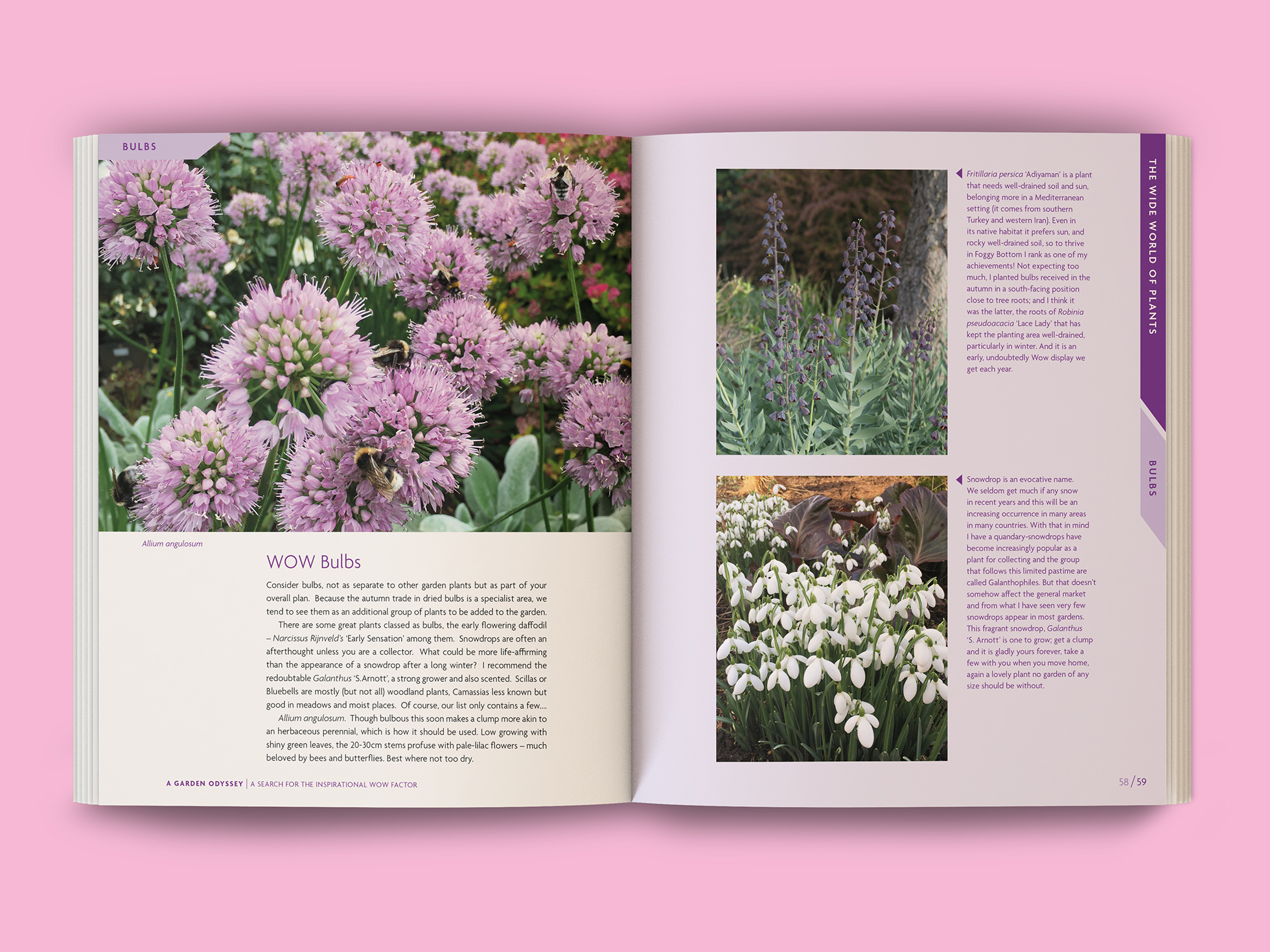 fb garden odyssey 04