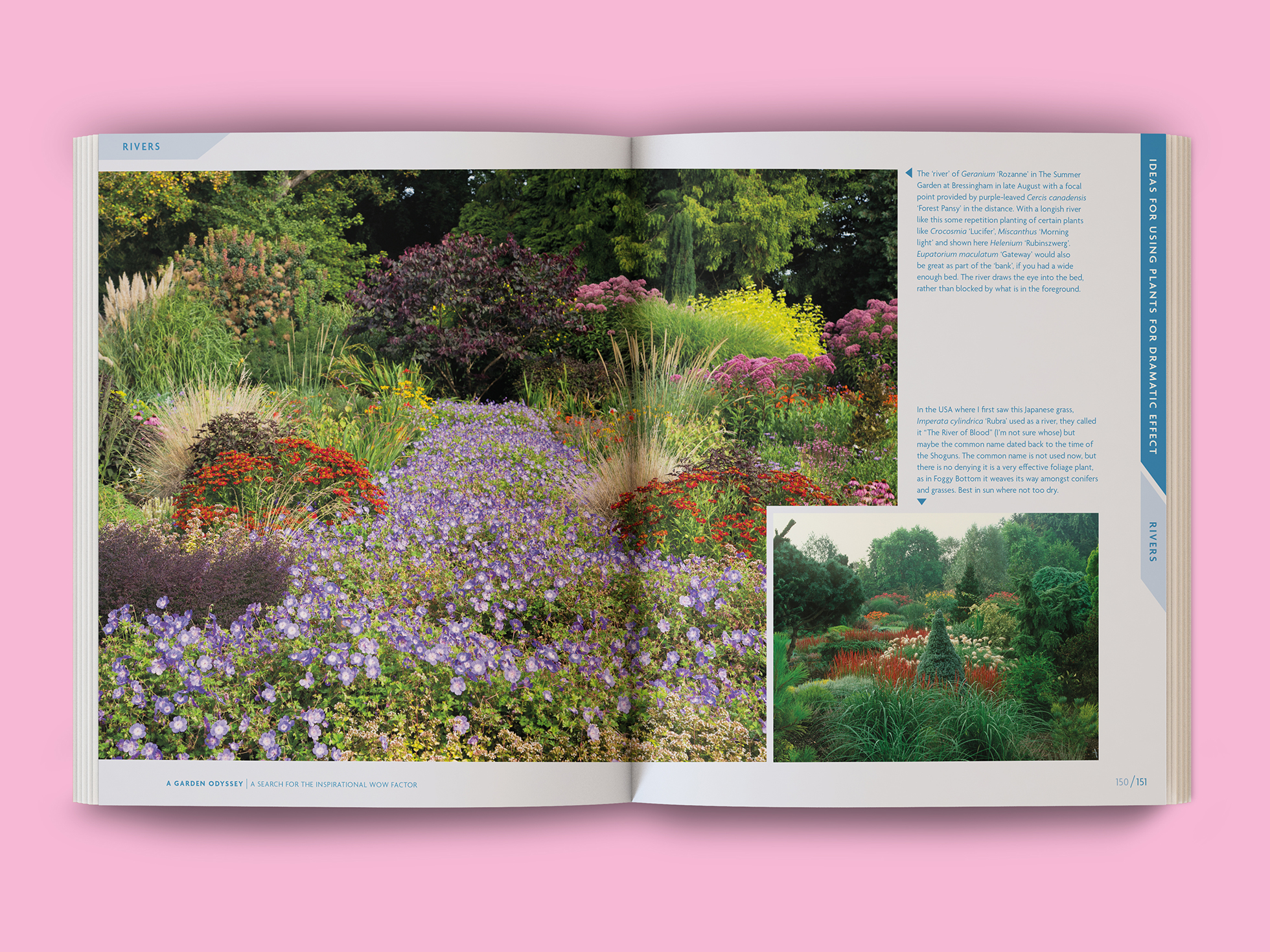 fb garden odyssey 05
