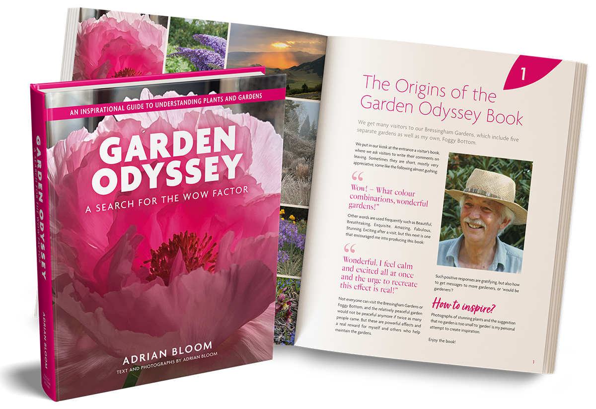 fb garden odyssey spread