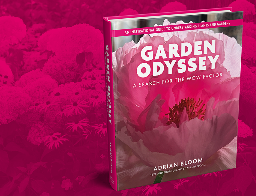 hero fb garden odyssey copy